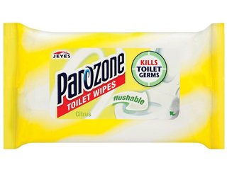 Parozone Flushable Potty Wipes x40