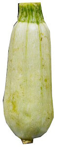 Baby Marrow ~ 1 kg