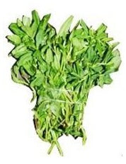 Water Leaf - Cut Up