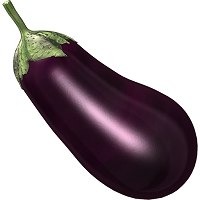 Egg Plant ~ 1 kg