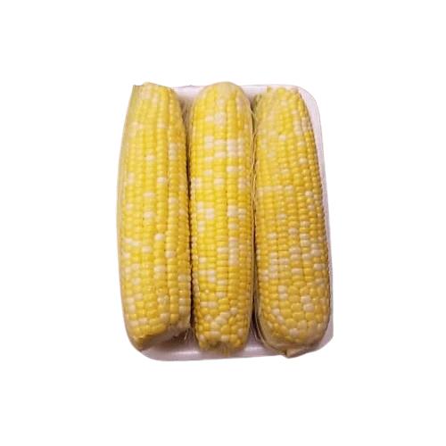 Sweet Corn x3