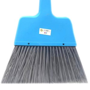 BH American Broom