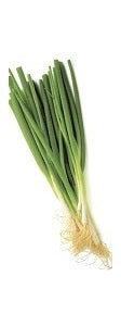 Spring Onions ~1 kg