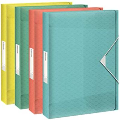 Esselte Box File Ice 25 mm Assorted