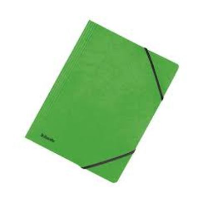 Esselte Elastic Folder Home A4 - Green