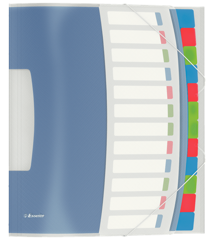 Esselte Divider Book Colour'Ice Multi-Colour - 12 Part