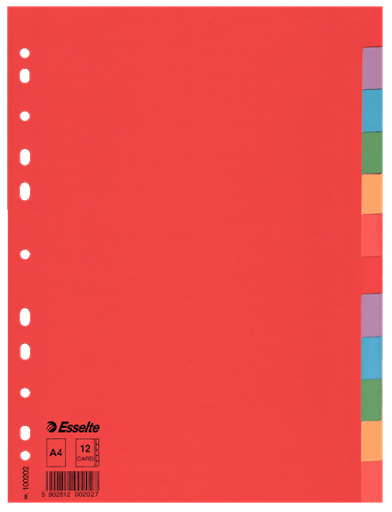 Esselte Divider Card Eco A4 12 Tabs