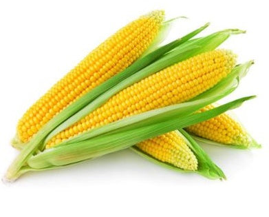 Corn On The Cob - Unpeeled (Raw) x4