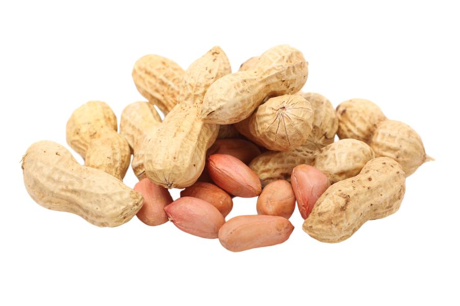 Groundnut 4 L (Uncooked)