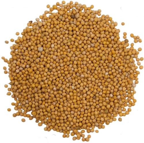 Indo Garden Mustard Seeds 200 g