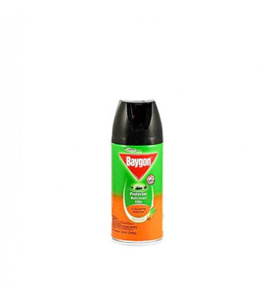 Baygon insecticides 300ml