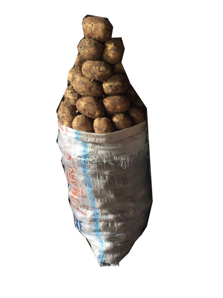 Irish Potato - Quarter Bag