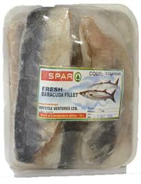 Fresh Barracuda Fillet ~1 kg